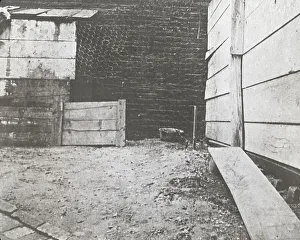 Backyard Prints: National Cash Register Company, Dayton, Ohio, c1896. Creator: Unknown