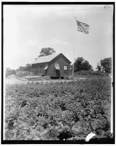 Makeshift Prints: National Emergency, between 1910 and 1920