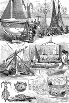 Lifeboats Prints: The National Fisheries Exhibition at Norwich: models of lifeboat