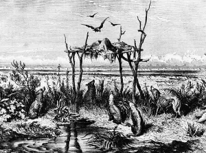Vulture Prints: Native American funeral customs, c1870
