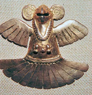 Columbia Gallery: Native American gold condor