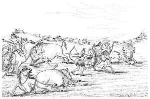 Images Dated 12th May 2009: Native Americans hunting buffalo, 1841.Artist: Myers and Co