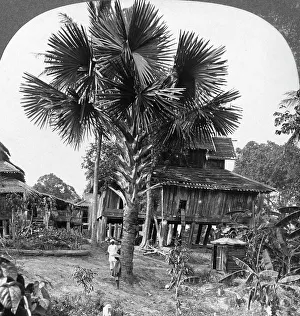 Kachin Prints: Native house built on piles, Bhamo, Burma, 1908. Artist: Stereo Travel Co