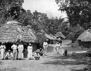 Jamaican Collection: Native huts, Jamaica, c1905.Artist: Adolphe Duperly & Son