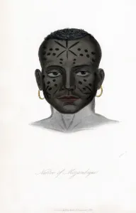 Mozambique Prints: Native of Mozambique, c1850. Artist: James Prichard