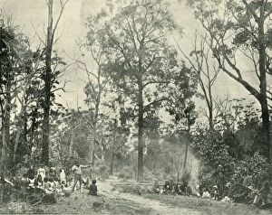 Campfire Gallery: Native Sports, Lake Tyers, 1901. Creator: Unknown