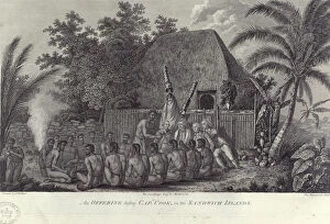 Captain Cook Collection: Natives of the Sandwich Islands, Hawaii, slaughtering swine before Captain Cook, c1778