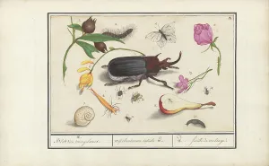 Deck Paint Prints: Natural History Ensemble (No. 18), 1596-1610. Creators: Elias Verhulst, Anselmus de Boodt