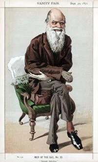 Jj Tissot Gallery: Natural Selection, 1871.Artist: Coide