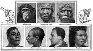Natures evolutionary designs in noses, 1922