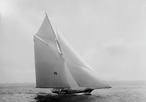 Spinnaker Prints: Nautilus, 1891 June 16. Creator: Johns Johnston