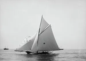 Nautilus, 1891 June 16. Creator: Johns Johnston