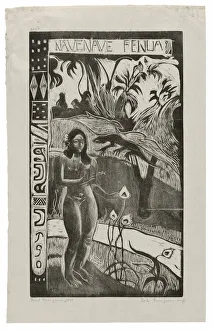 Nave nave fenua (Delightful Land), from the Noa Noa Suite, 1893 / 94, printed 1921