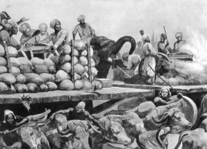 Oxen Prints: The Nawab Siraj Ud Daulahs artillery on its movable platform