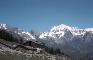 Near Champillon in Italy in July