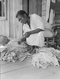 Tobacco Leaf Prints: Near Douglas, Georgia, 1938. Creator: Dorothea Lange