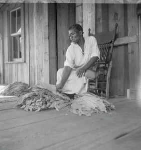 Tobacco Leaf Prints: Near Douglas, Georgia. Sharecroppers grade the cured leaves, 1938. Creator: Dorothea Lange