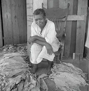 Tobacco Leaf Prints: Near Douglas, Georgia. Sharecroppers grade the cured leaves, 1938. Creator: Dorothea Lange