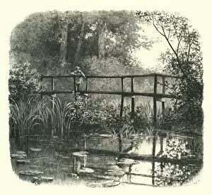 Wooden Bridge Gallery: Near Godalming, c1870