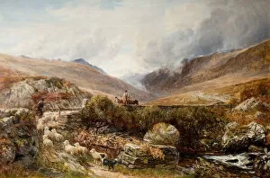 Gwynedd Collection: Near Llanbedr, Barmouth, 1872. Creator: Charles Thomas Burt