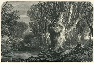 New Forest Prints: Near Lymington, in the New Forest, c1870