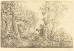 Bending Over Prints: Near the Woods, Veronne (Pres du bois, Veronne). Creator: Alphonse Legros