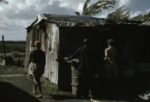 Slides Color Gmgpc Prints: Negro migratory workers and one shack