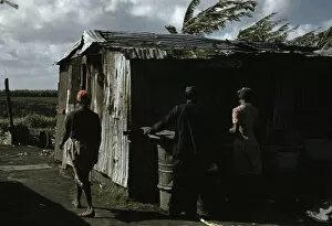 Shanty Town Collection: Negro migratory workers and one shack, Belle Glade, Fla. 1941. Creator: Marion Post Wolcott