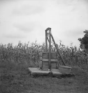 Sharecroppers Prints: Negro sharecropper tobacco farm