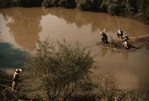 Slides Color Gmgpc Prints: Negroes fishing in creek near cotton plantations outside Belzoni