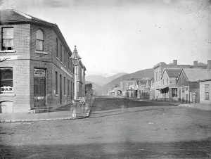Street Lamp Prints: Nelson, 1870s. Creator: Burton Brothers