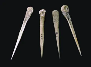 Number Prints: Neolithic bone pins