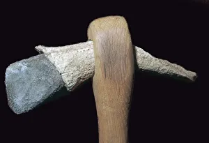 Antler Prints: Neolithic stone axe
