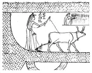 Ox Drawn Plough Gallery: Nesitanebtashru ploughing and reaping, c1025 BC