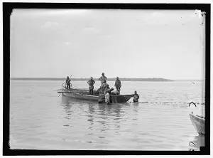 Net fishing, between 1909 and 1923. Creator: Harris & Ewing. Net fishing, between 1909 and 1923. Creator: Harris & Ewing