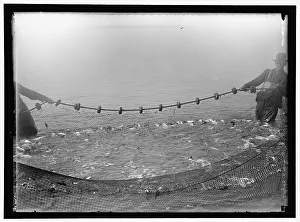 Catch Prints: Net fishing, between 1909 and 1923
