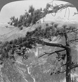 Nevada Falls, Vernal Falls and Liberty Cap, Yosemite Valley, California, USA, 1902 Nevada Falls, Vernal Falls and Liberty Cap, Yosemite Valley, California, USA, 1902