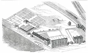 Cattle Market Prints: New Cattle-Market, Reading, 1850. Creator: Unknown