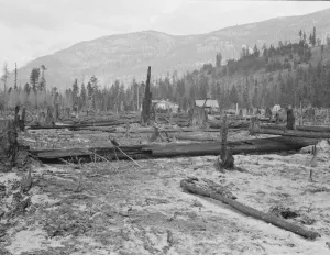 New farm home, Boundary County, Idaho, 1939. Creator: Dorothea Lange