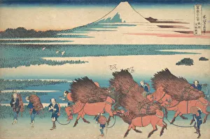 Buffalo Prints: The New Fields at Ono in Suruga Province (Sunshu Ono shinden), from the series Thir