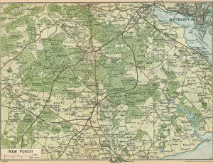 New Forest, c20th Century. Artist: John Bartholomew
