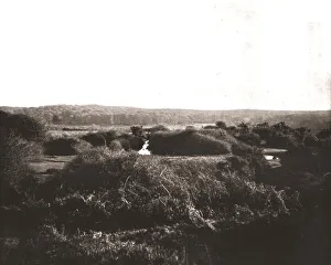 New Forest Prints: The New Forest, Hampshire, 1894. Creator: Unknown