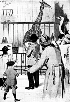 The New Giraffe at the Zoological Society's Gardens, Regent's Park: artists on duty, 1895
