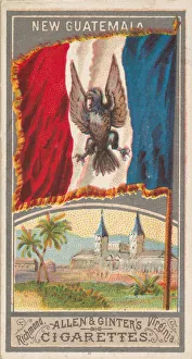 Palm Tree Prints: New Guatemala, from the City Flags series (N6) for Allen & Ginter Cigarettes Brands