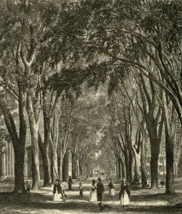 The New-Haven Elms, 1874. Creator: Henry Duff Linton The New-Haven Elms, 1874. Creator: Henry Duff Linton