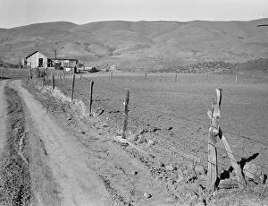 Yard Gallery: A new house for descendant of old Idaho family... Gem County, Idaho, 1939. Creator: Dorothea Lange