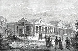 Swans Prints: The New Lion-House, Zoological Society's Gardens, 1876. Creator: Unknown