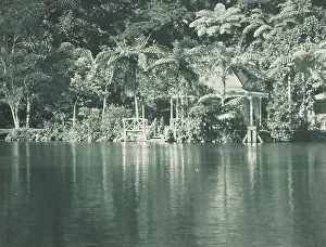 Recreation Prints: In the New Plymouth Recreation Grounds