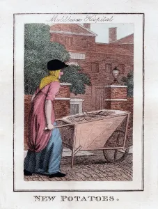 Handcart Prints: New Potatoes, Middlesex Hospital, London, 1805