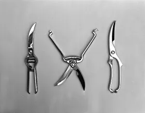 The new range of secateurs and pruners from Champion scissors of Mexborough, South Yorkshire